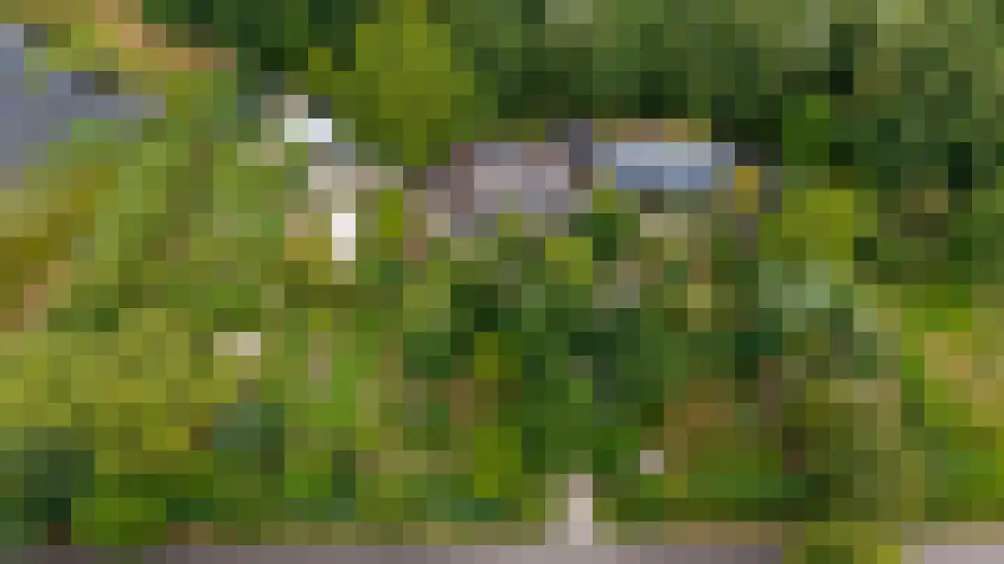 Rauwenhoffweg 8 Epe thumbnail 35