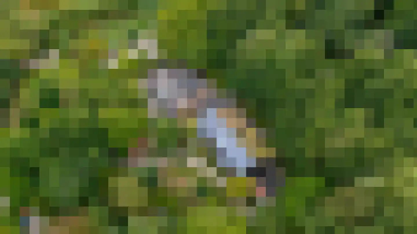 Rauwenhoffweg 8 Epe thumbnail 36
