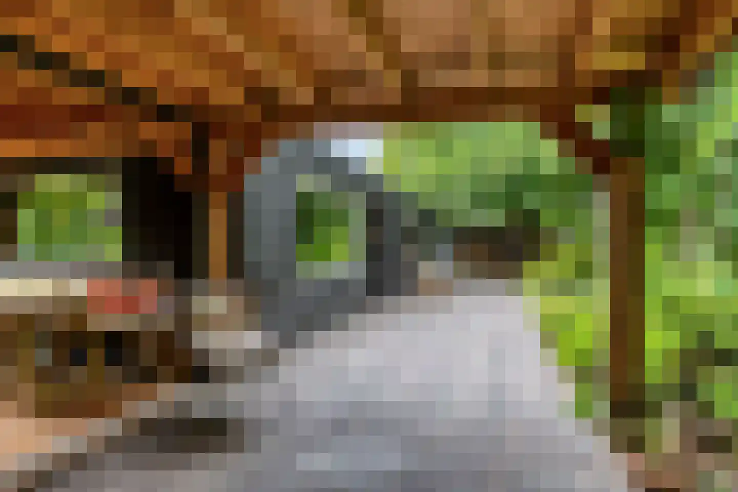 Rauwenhoffweg 8 Epe thumbnail 37