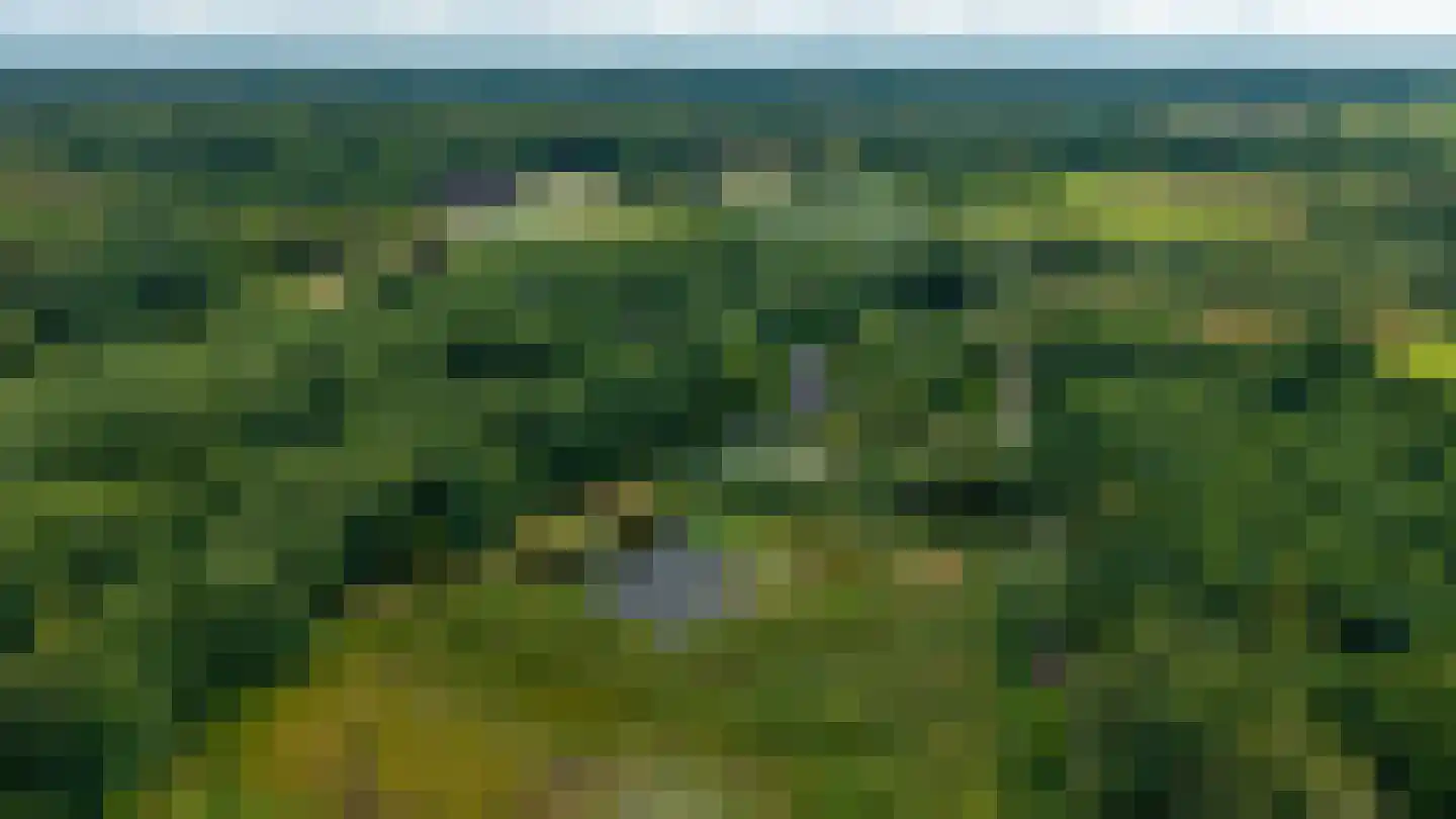 Rauwenhoffweg 8 Epe thumbnail 4