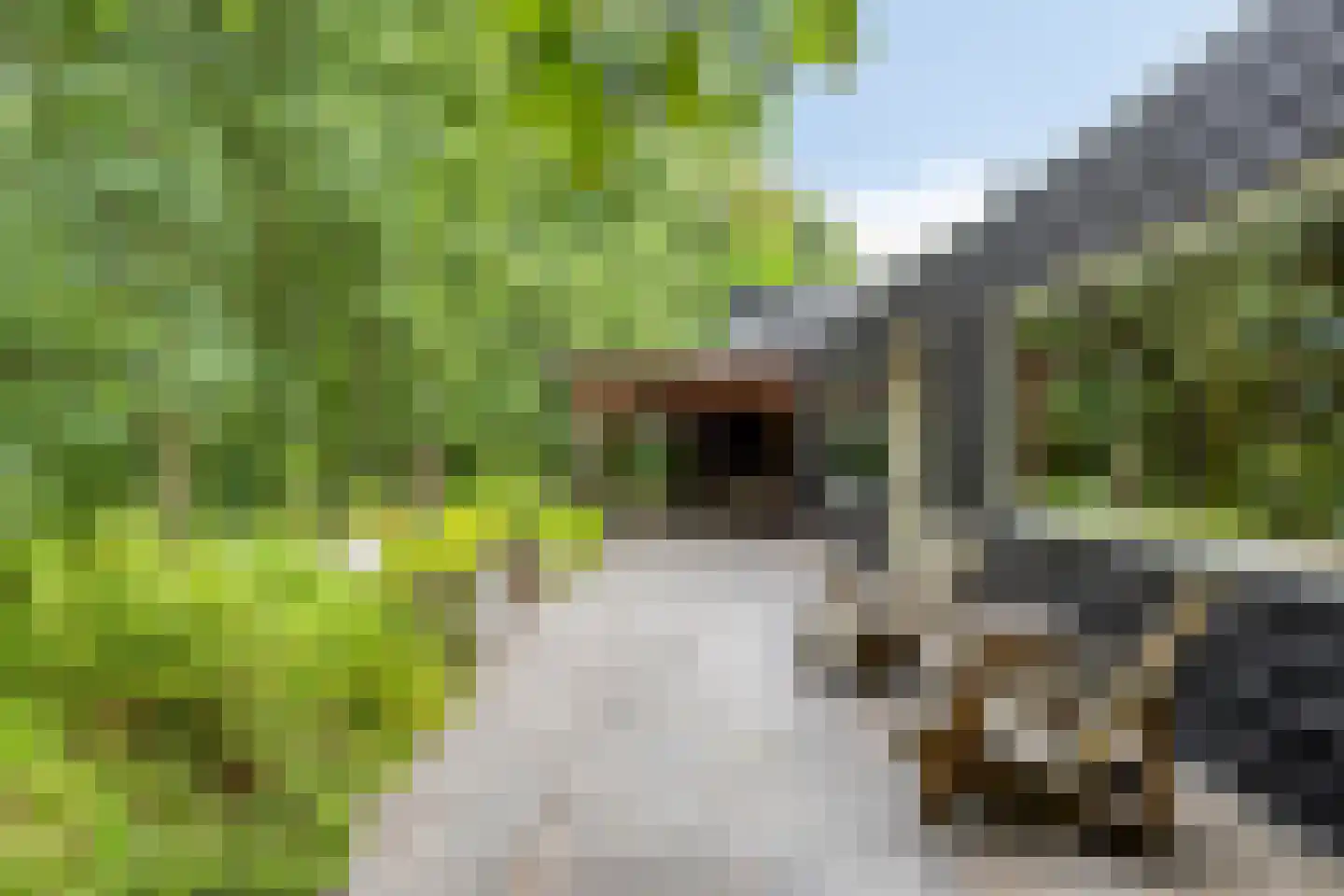 Rauwenhoffweg 8 Epe thumbnail 40