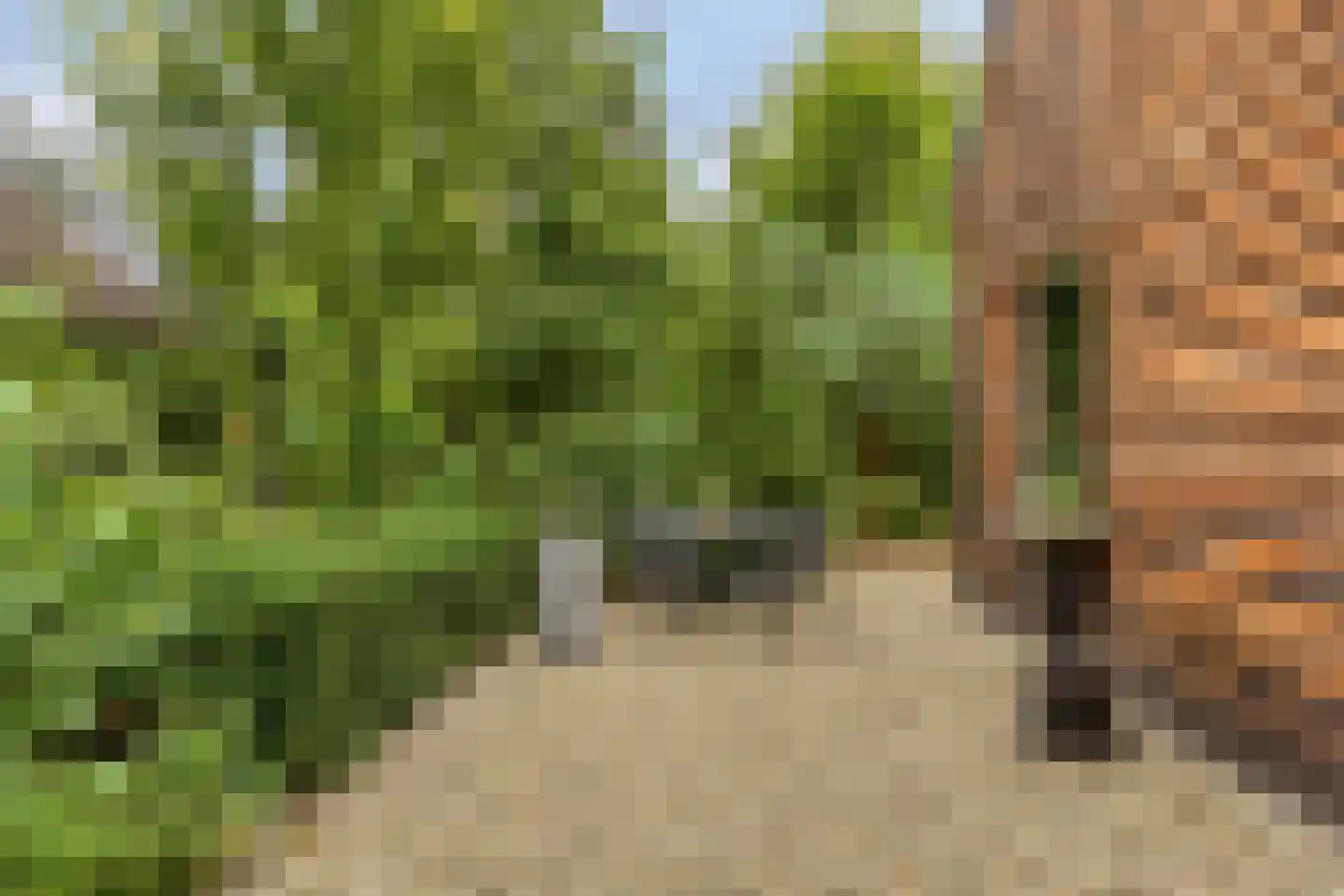 Rauwenhoffweg 8 Epe thumbnail 43