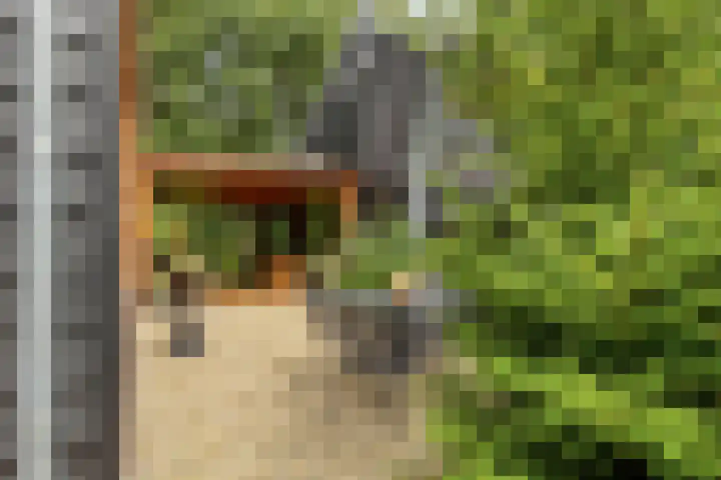 Rauwenhoffweg 8 Epe thumbnail 44