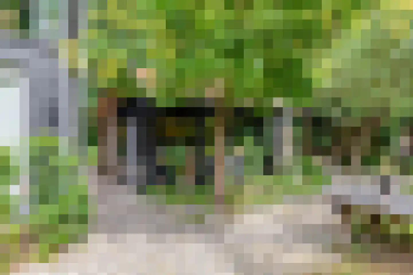 Rauwenhoffweg 8 Epe thumbnail 47