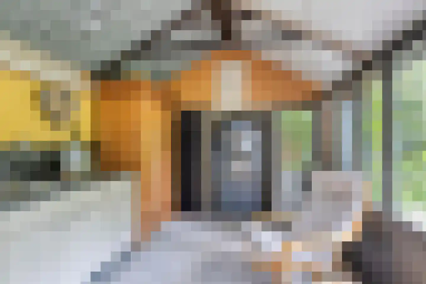 Rauwenhoffweg 8 Epe thumbnail 48