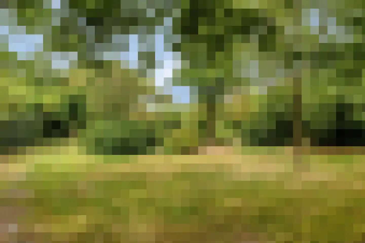 Rauwenhoffweg 8 Epe thumbnail 49