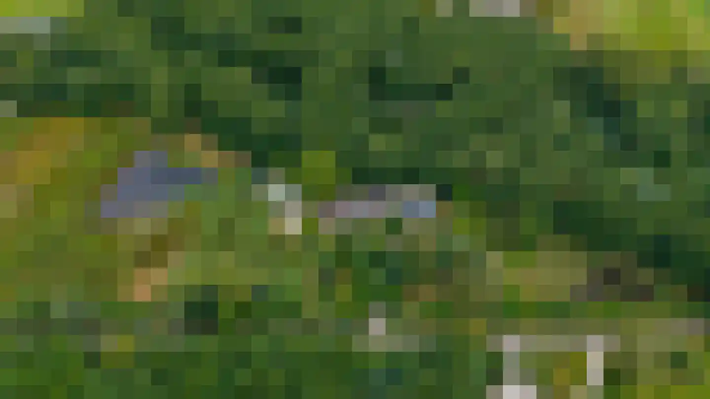 Rauwenhoffweg 8 Epe thumbnail 5
