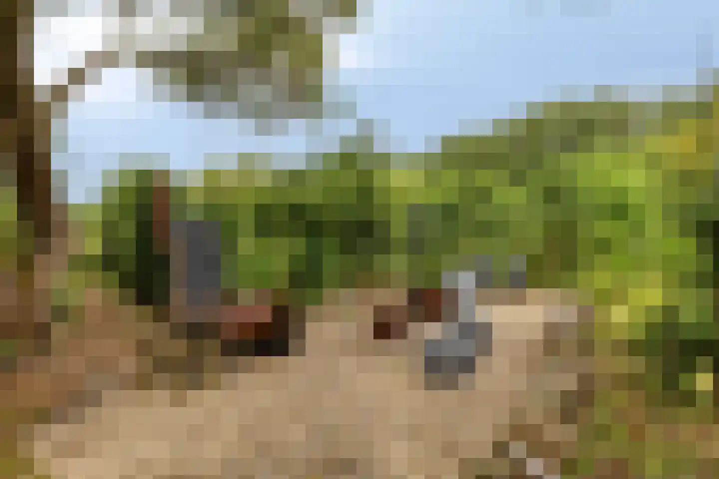 Rauwenhoffweg 8 Epe thumbnail 50