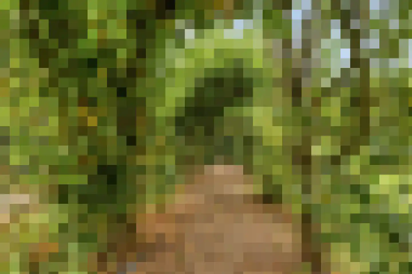Rauwenhoffweg 8 Epe thumbnail 51