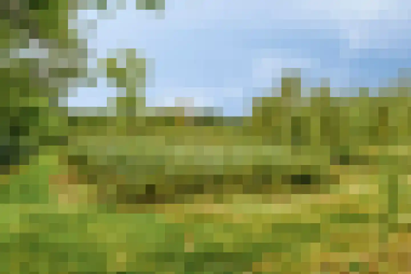 Rauwenhoffweg 8 Epe thumbnail 53