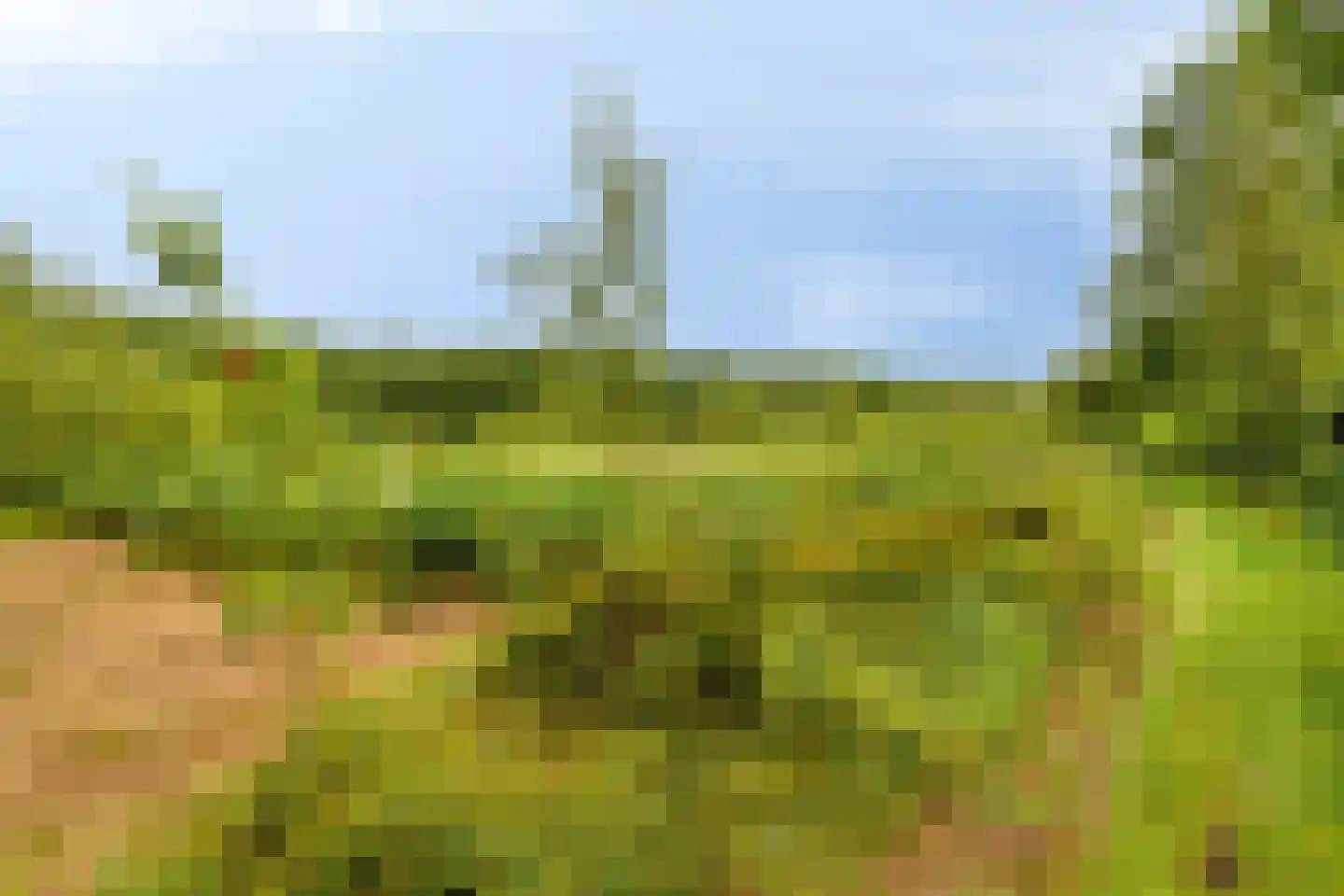 Rauwenhoffweg 8 Epe thumbnail 54