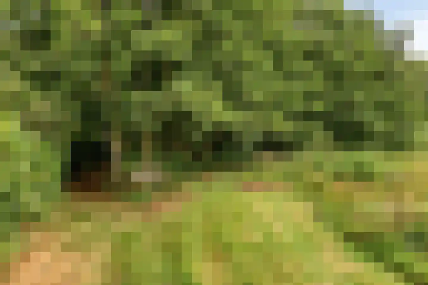 Rauwenhoffweg 8 Epe thumbnail 55