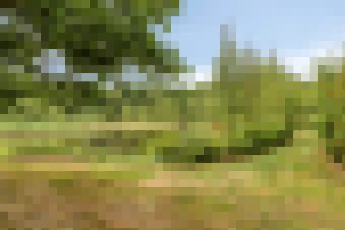 Rauwenhoffweg 8 Epe thumbnail 56