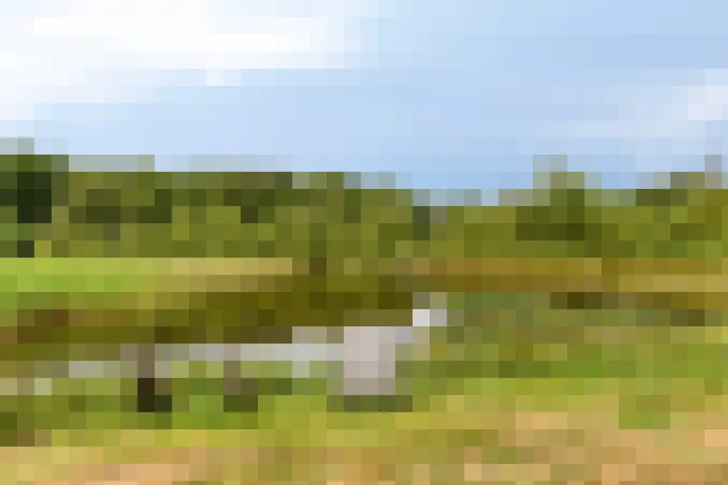 Rauwenhoffweg 8 Epe thumbnail 57