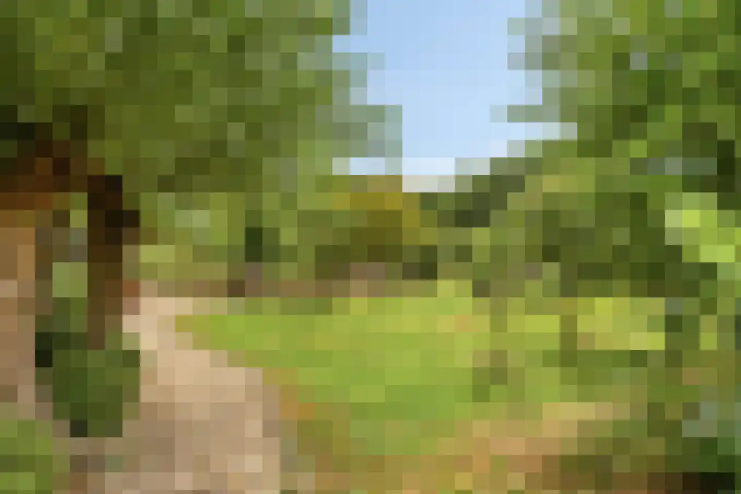 Rauwenhoffweg 8 Epe thumbnail 58
