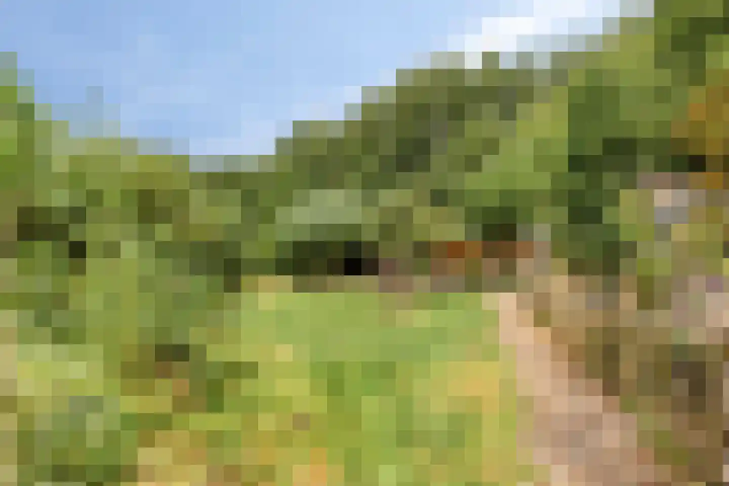 Rauwenhoffweg 8 Epe thumbnail 59