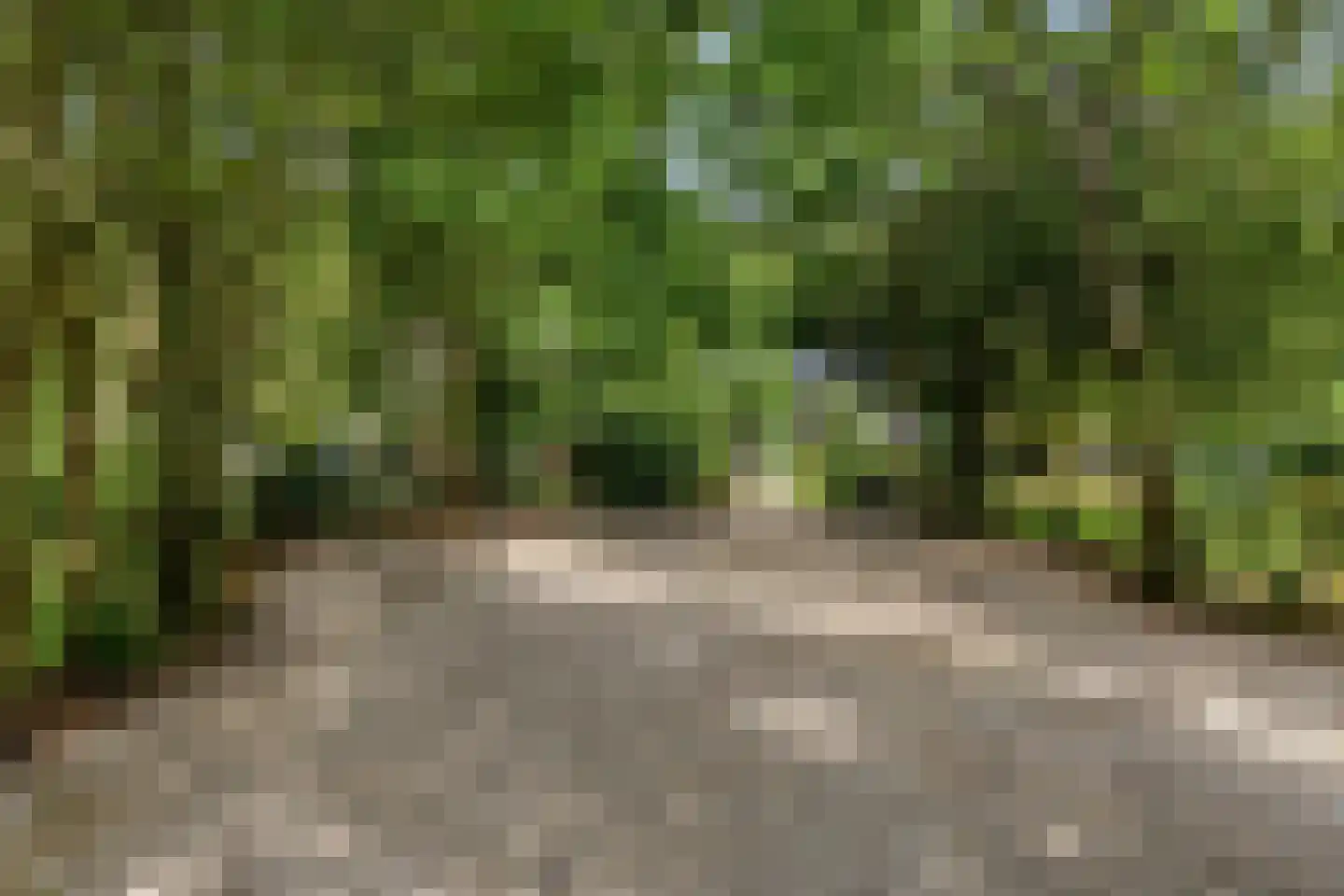 Rauwenhoffweg 8 Epe thumbnail 6