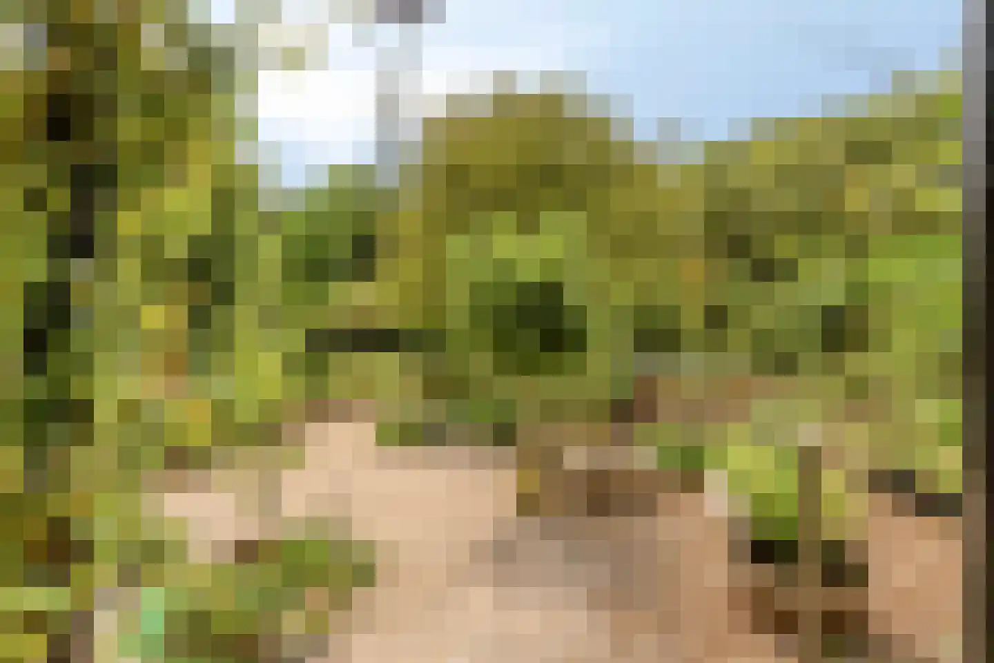 Rauwenhoffweg 8 Epe thumbnail 60