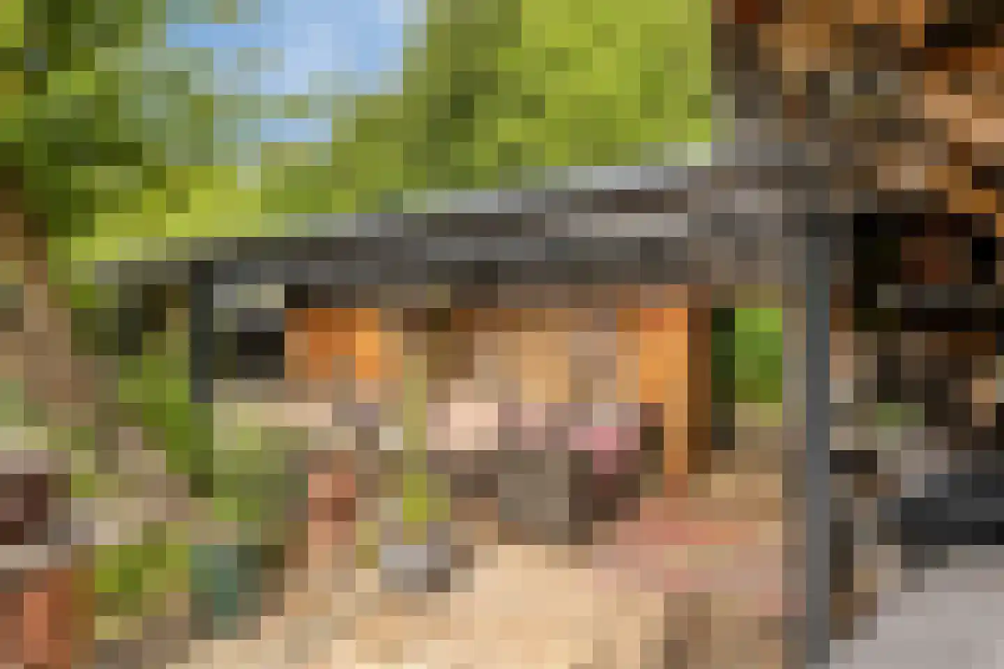 Rauwenhoffweg 8 Epe thumbnail 61