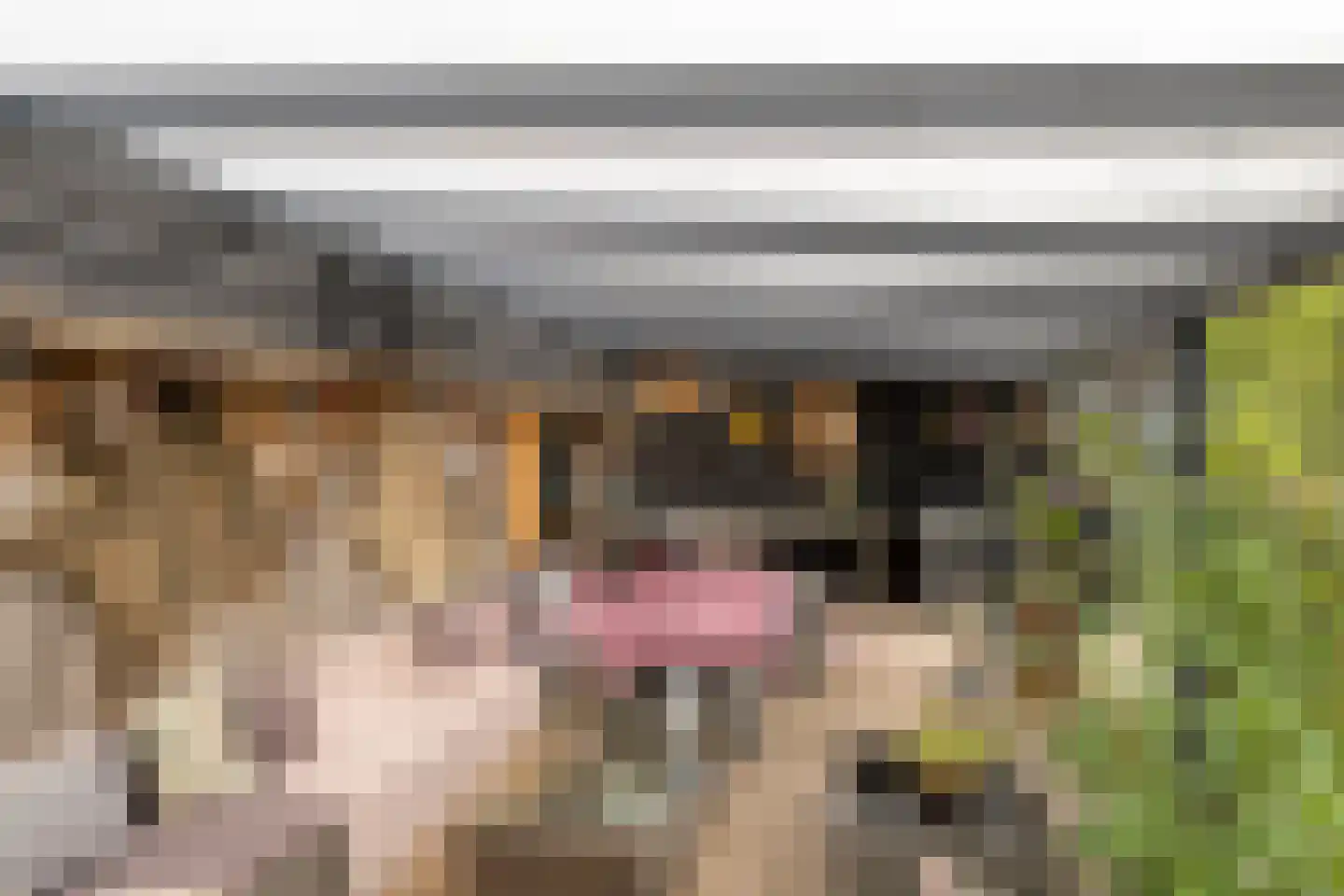 Rauwenhoffweg 8 Epe thumbnail 62