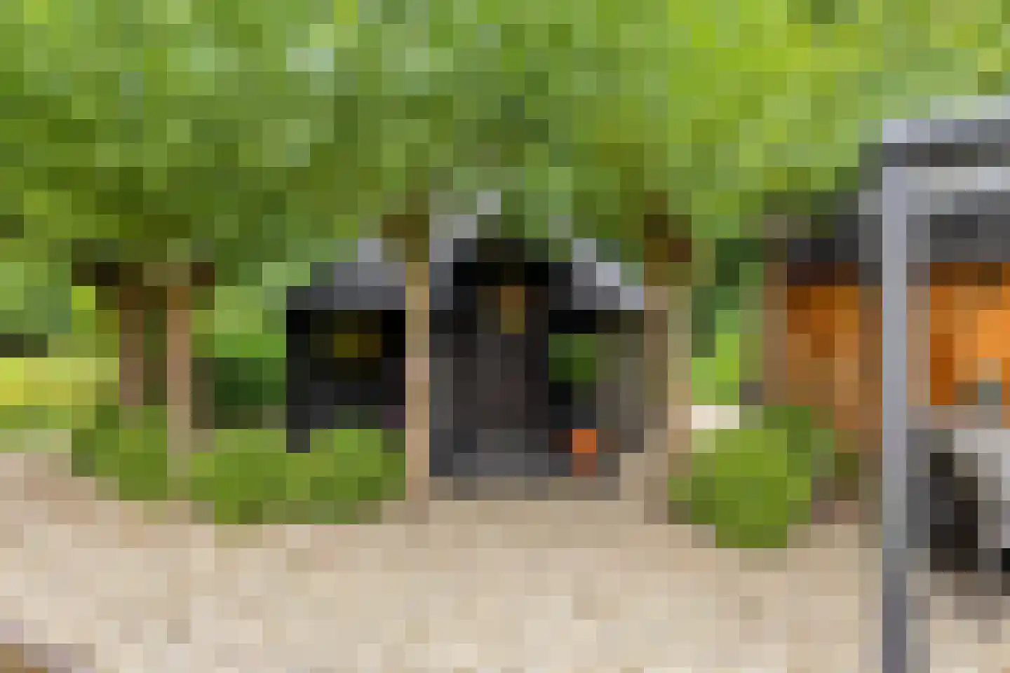 Rauwenhoffweg 8 Epe thumbnail 63