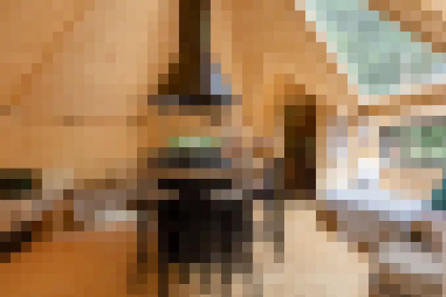 Rauwenhoffweg 8 Epe thumbnail 64