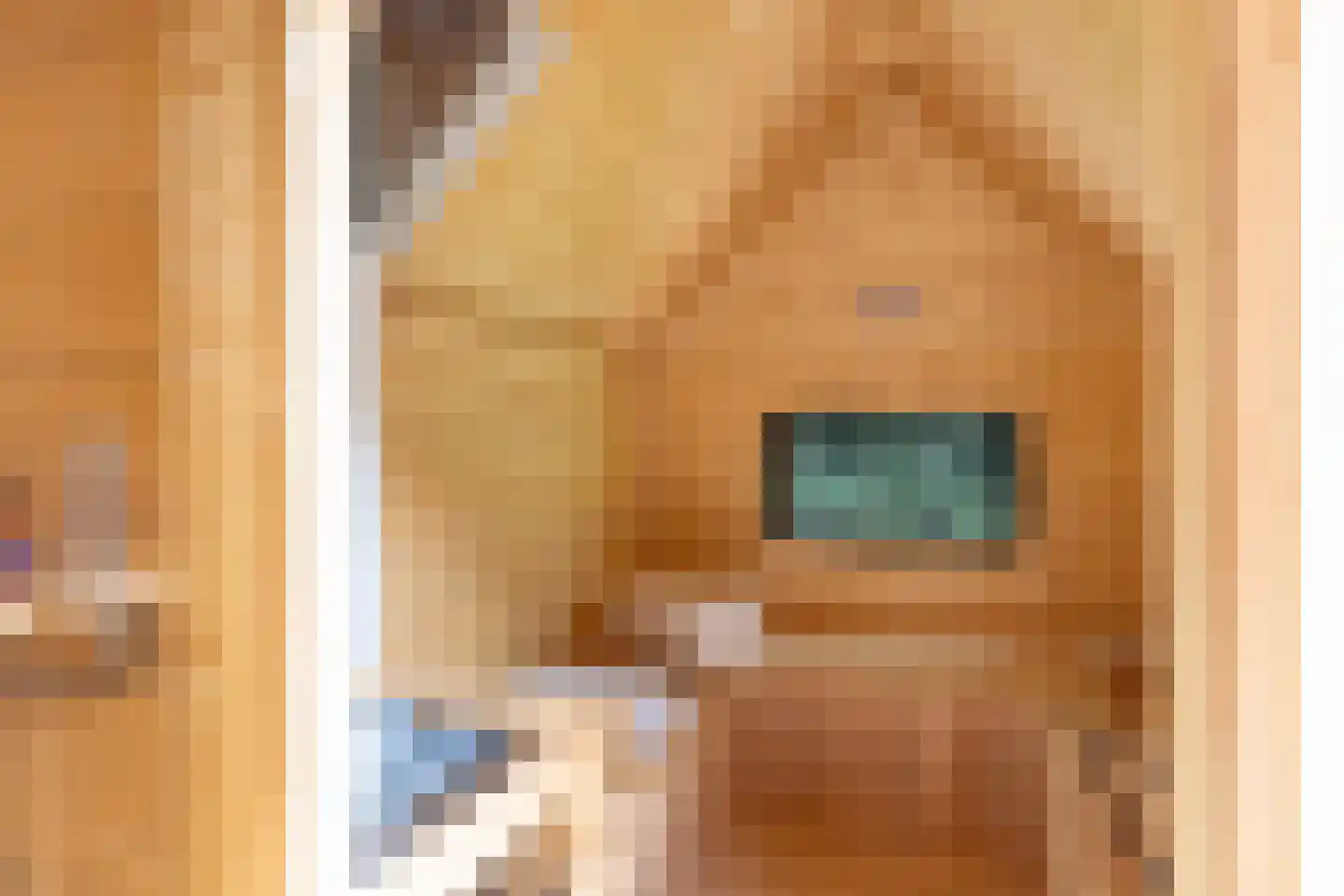 Rauwenhoffweg 8 Epe thumbnail 65