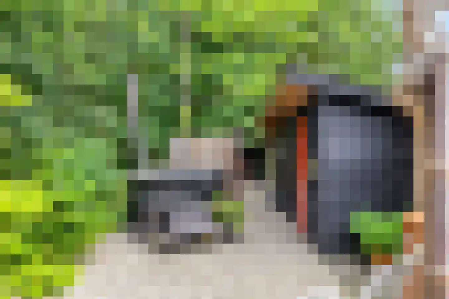 Rauwenhoffweg 8 Epe thumbnail 66