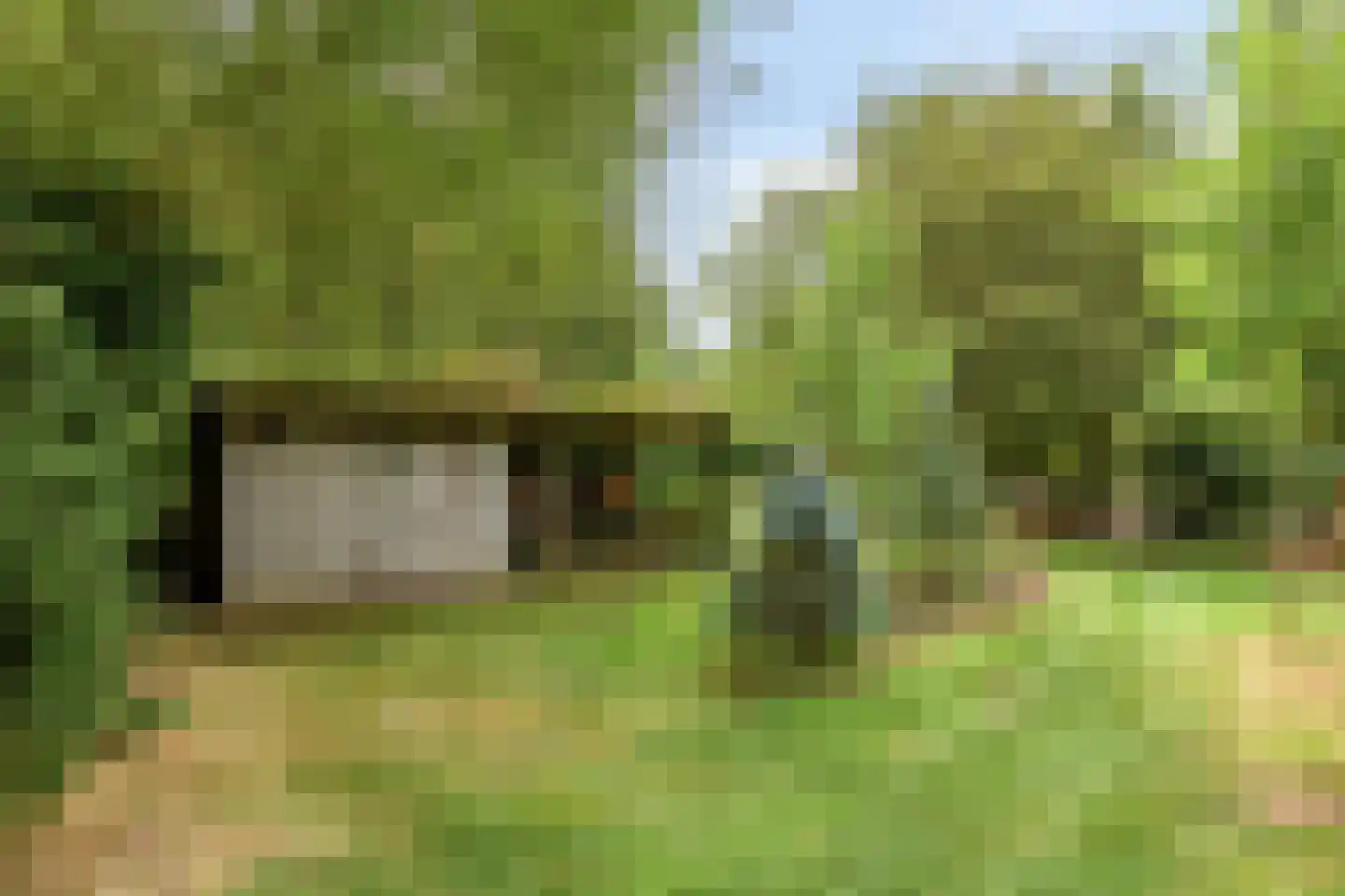 Rauwenhoffweg 8 Epe thumbnail 68