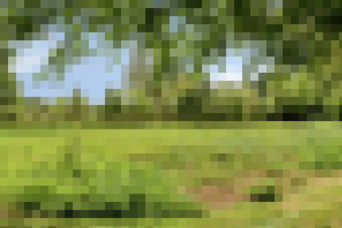 Rauwenhoffweg 8 Epe thumbnail 69