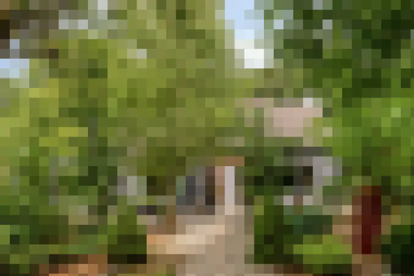 Rauwenhoffweg 8 Epe thumbnail 7