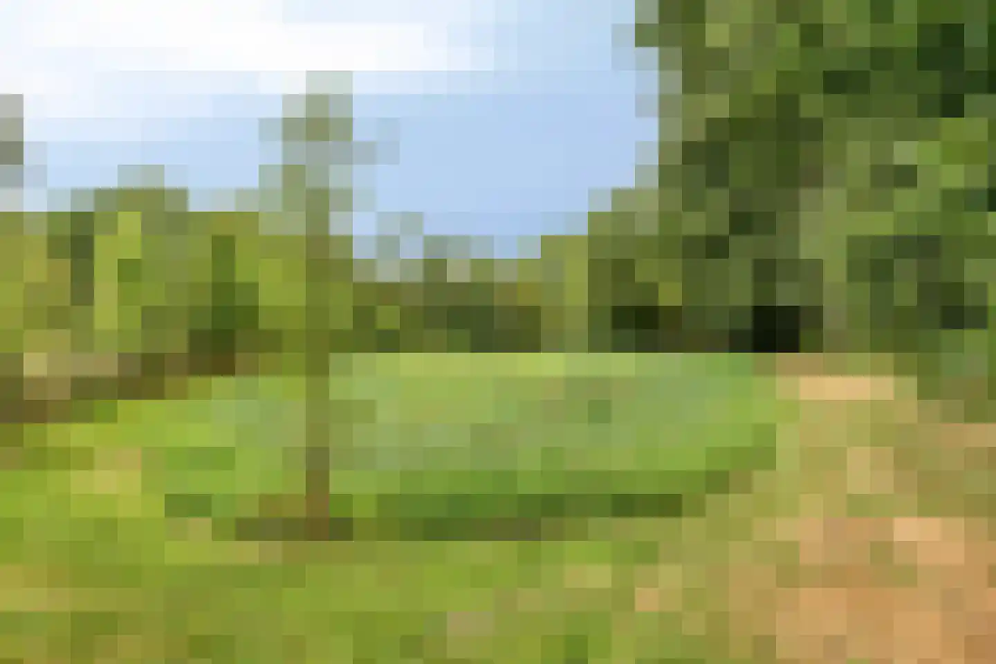 Rauwenhoffweg 8 Epe thumbnail 70