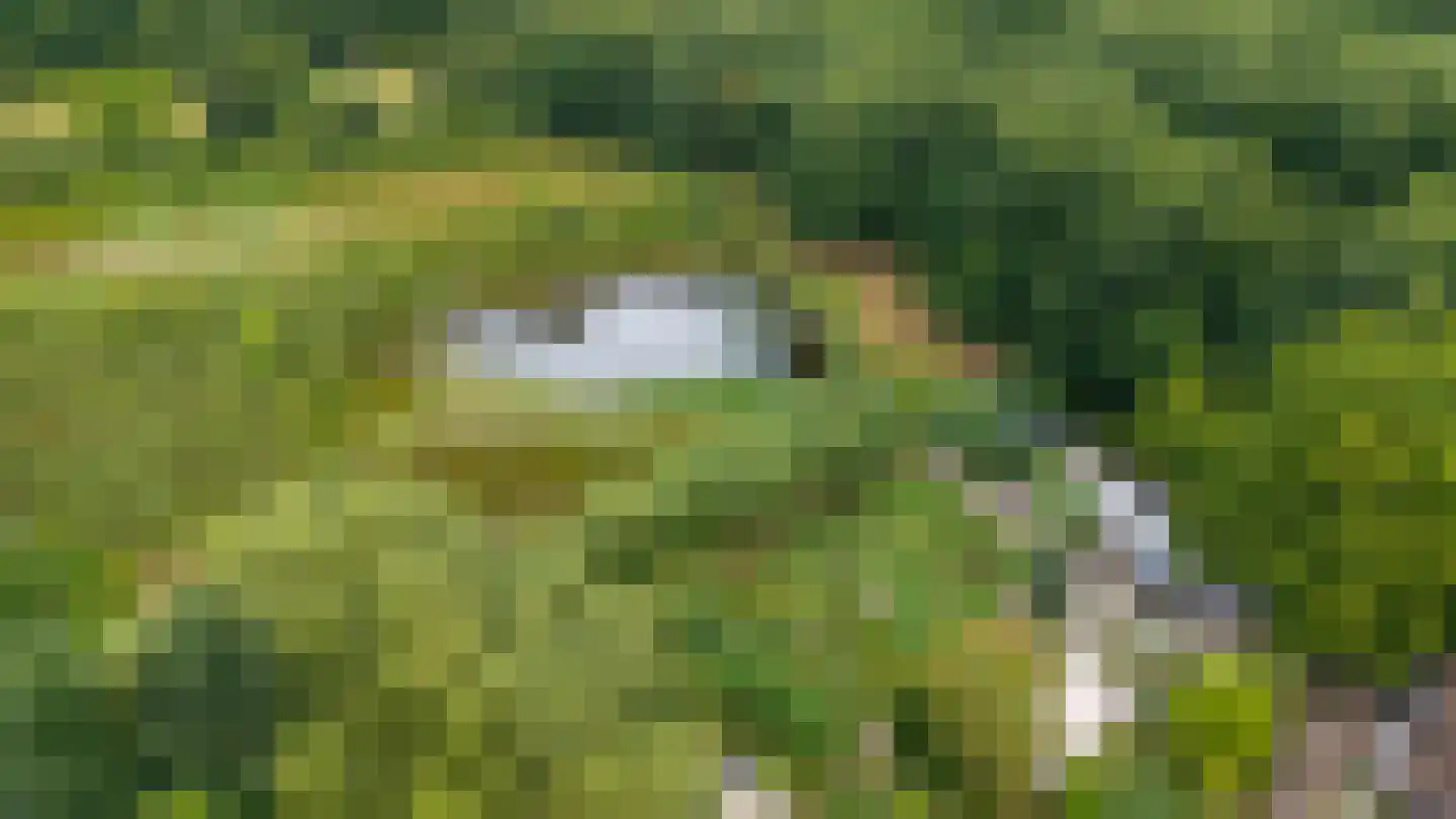 Rauwenhoffweg 8 Epe thumbnail 71