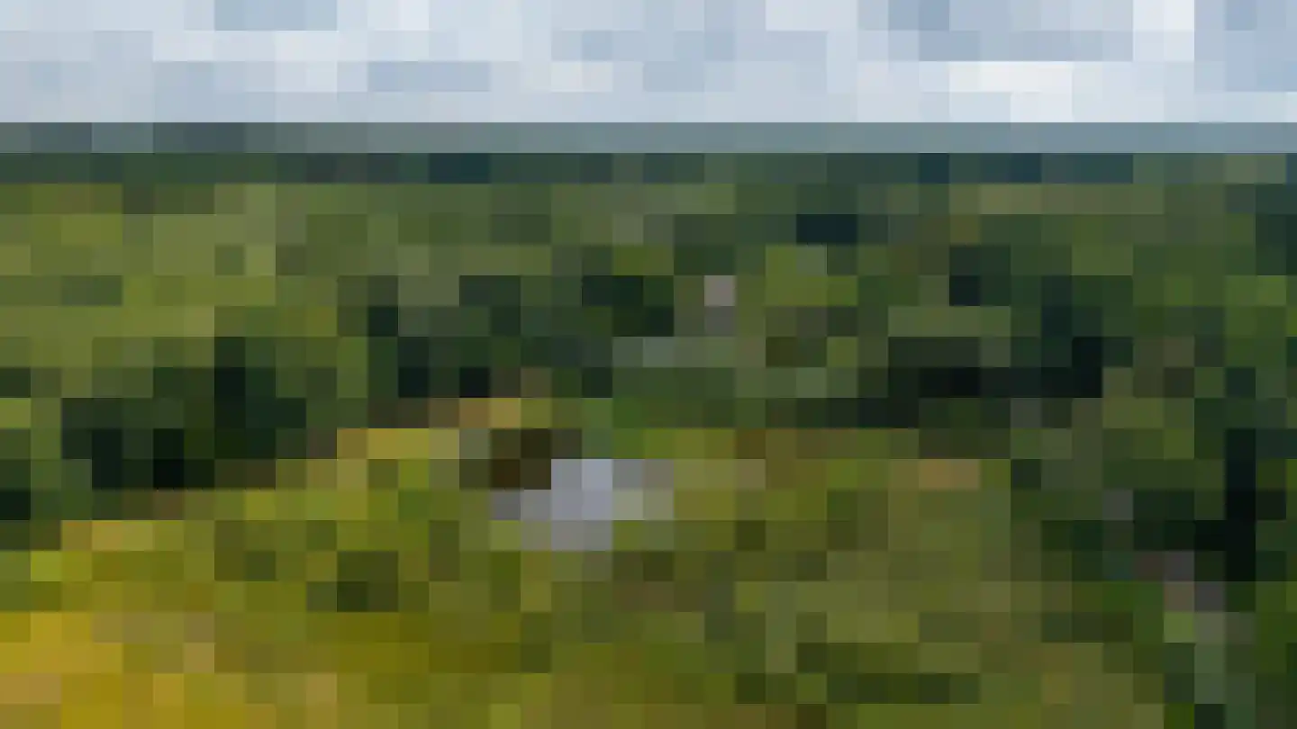 Rauwenhoffweg 8 Epe thumbnail 72