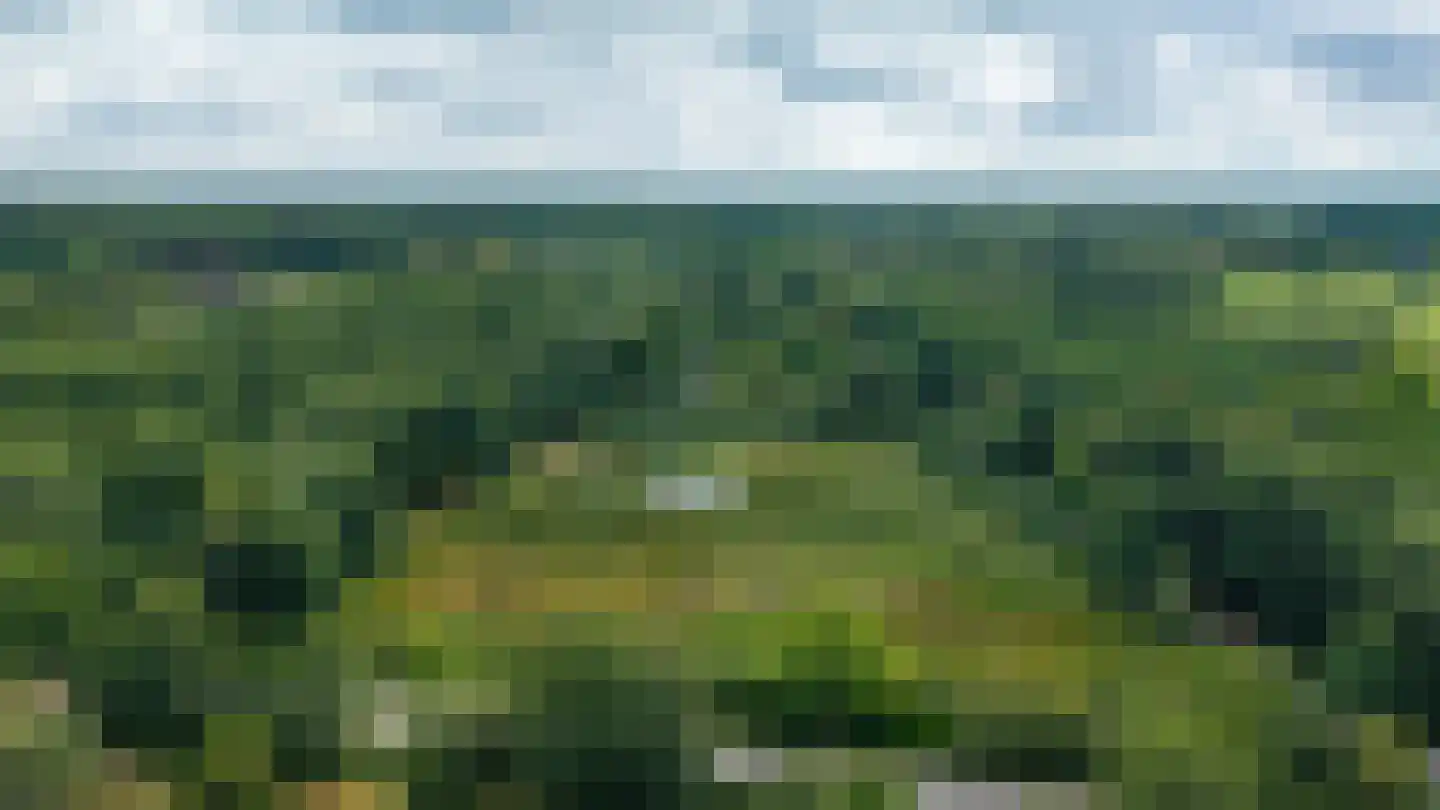 Rauwenhoffweg 8 Epe thumbnail 73