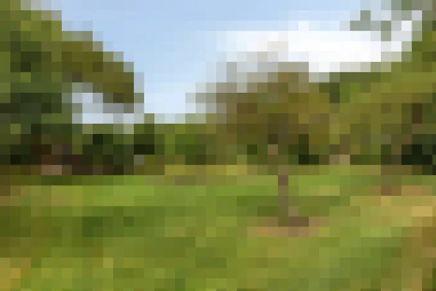 Rauwenhoffweg 8 Epe thumbnail 74