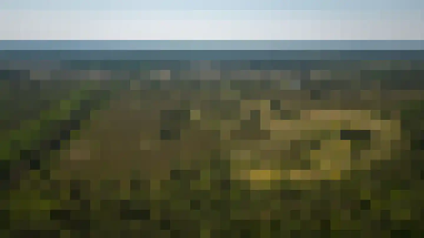 Rauwenhoffweg 8 Epe thumbnail 75