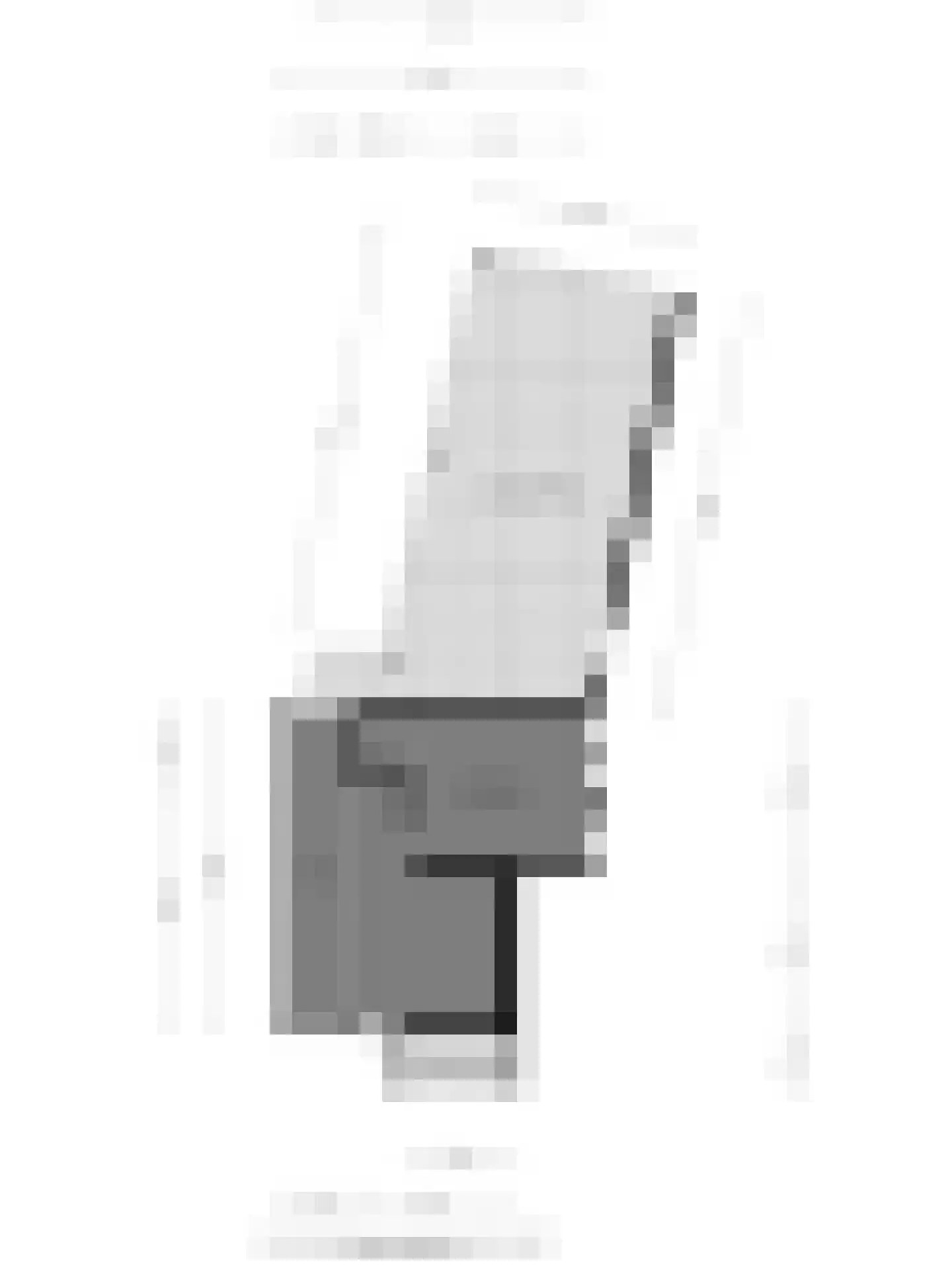 Rauwenhoffweg 8 Epe thumbnail 80