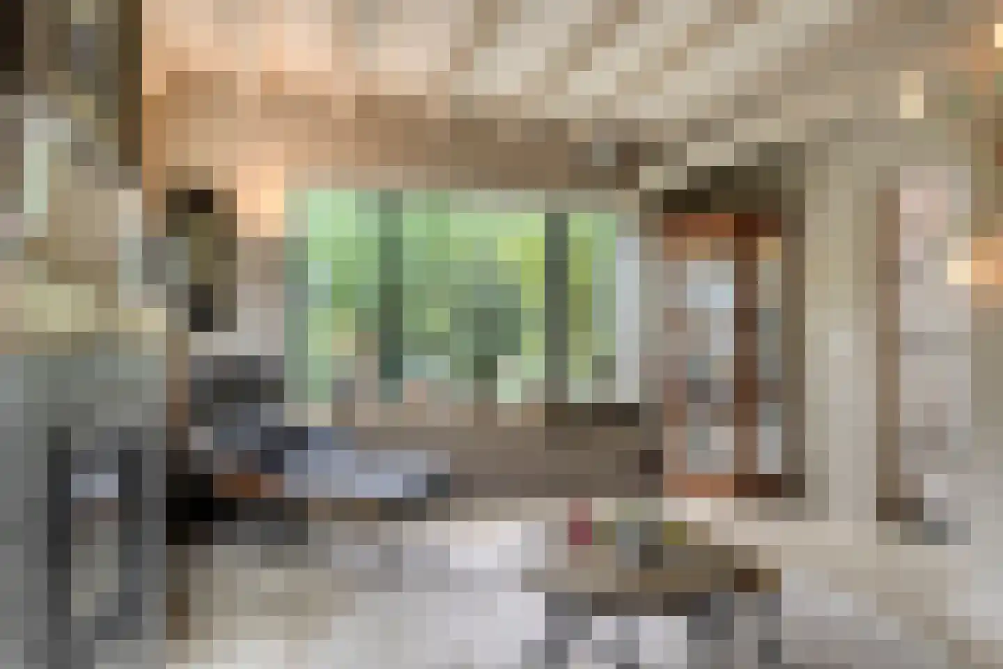 Rauwenhoffweg 8 Epe thumbnail 9