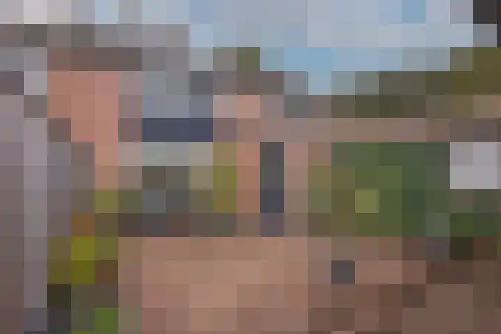 Rauwland 27 Delden thumbnail 24