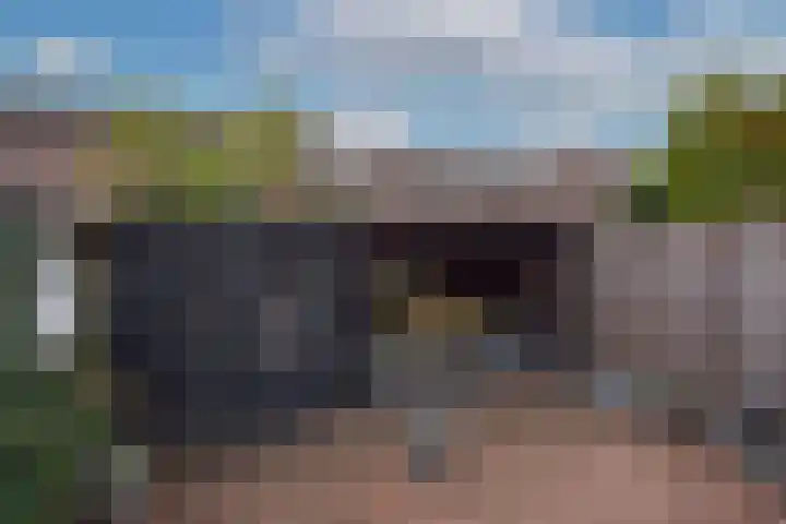 Rauwland 27 Delden thumbnail 25