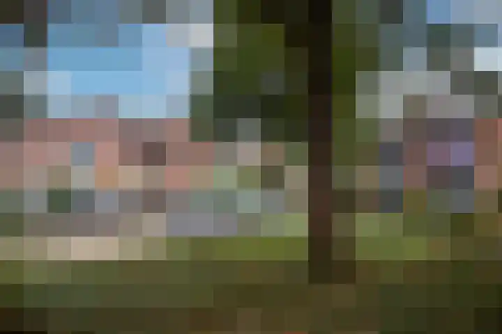 Rauwland 27 Delden thumbnail 29