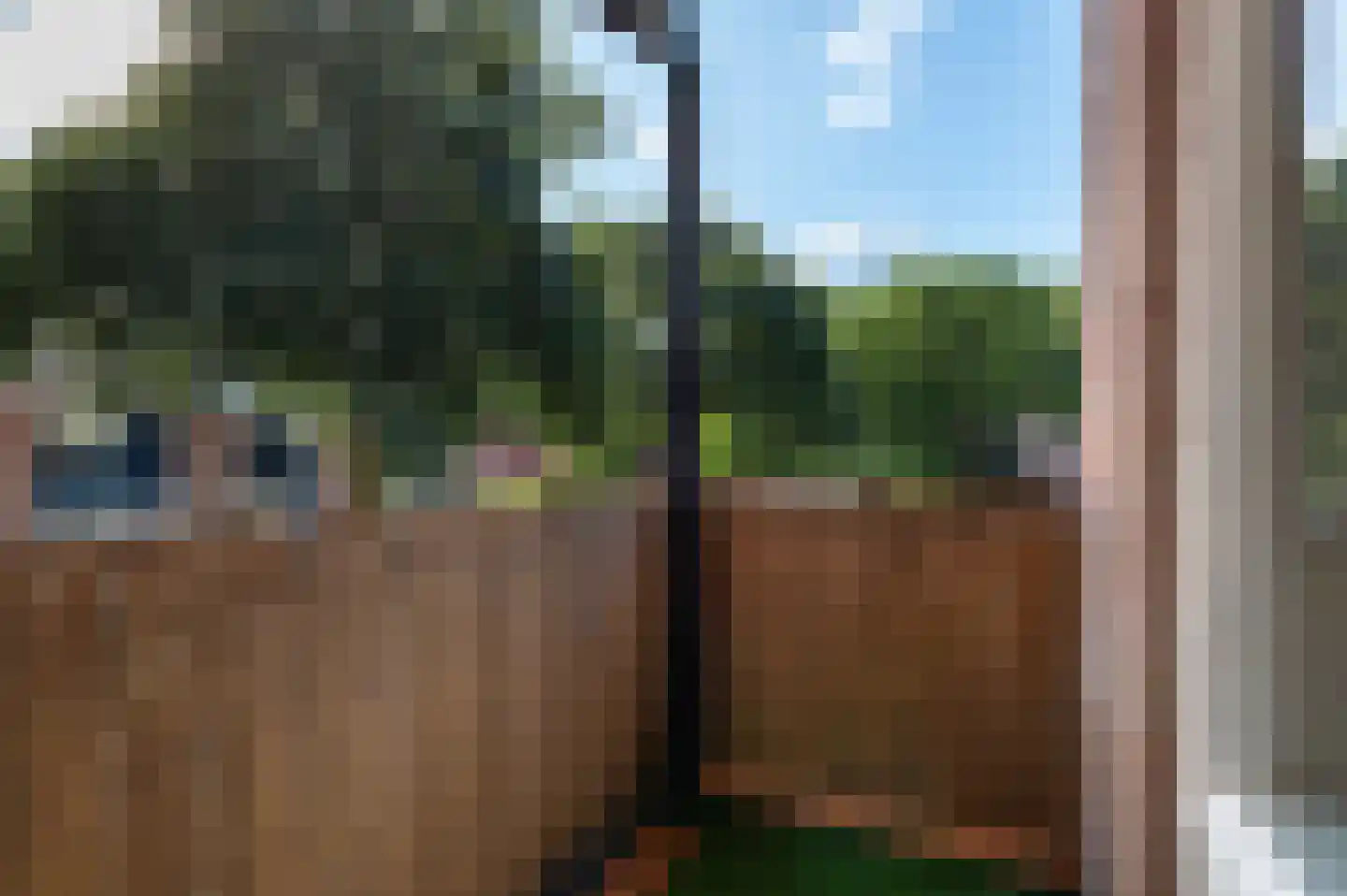 Rauwland 45 Delden thumbnail 23