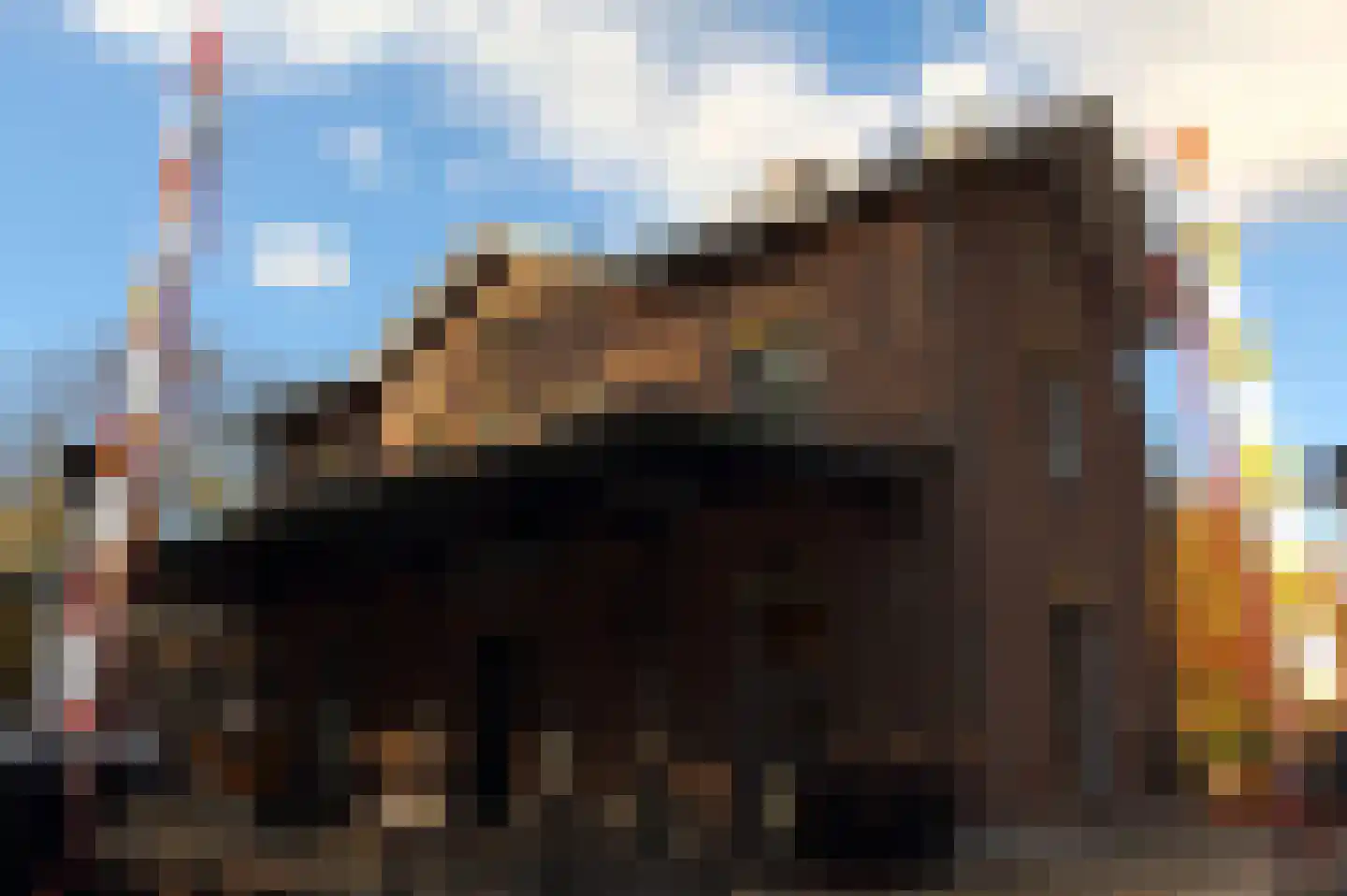 Rauwland 45 Delden thumbnail 24