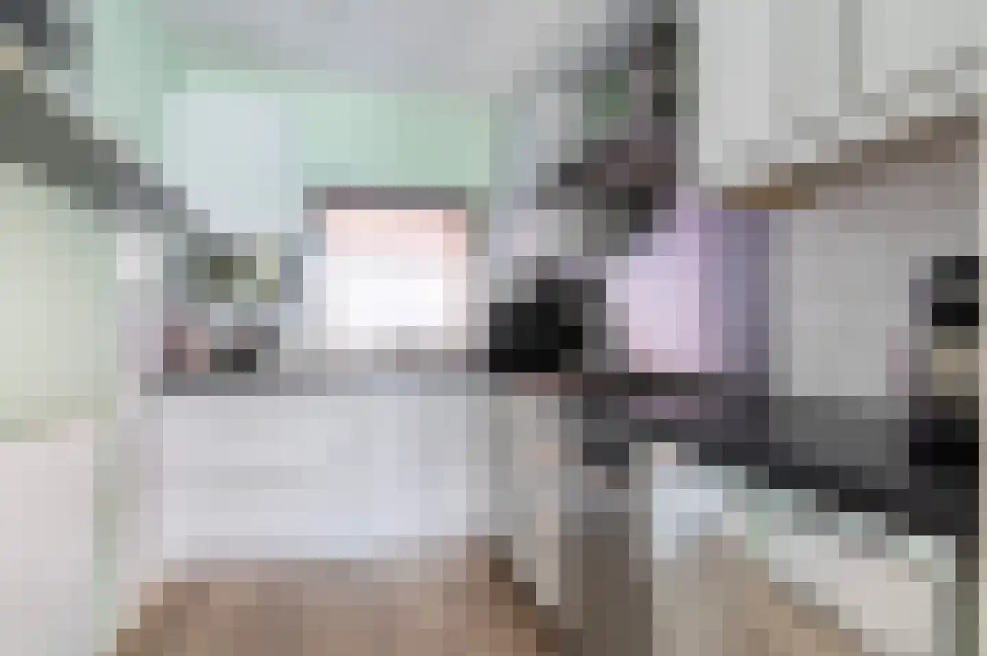 Rauwland 45 Delden thumbnail 7