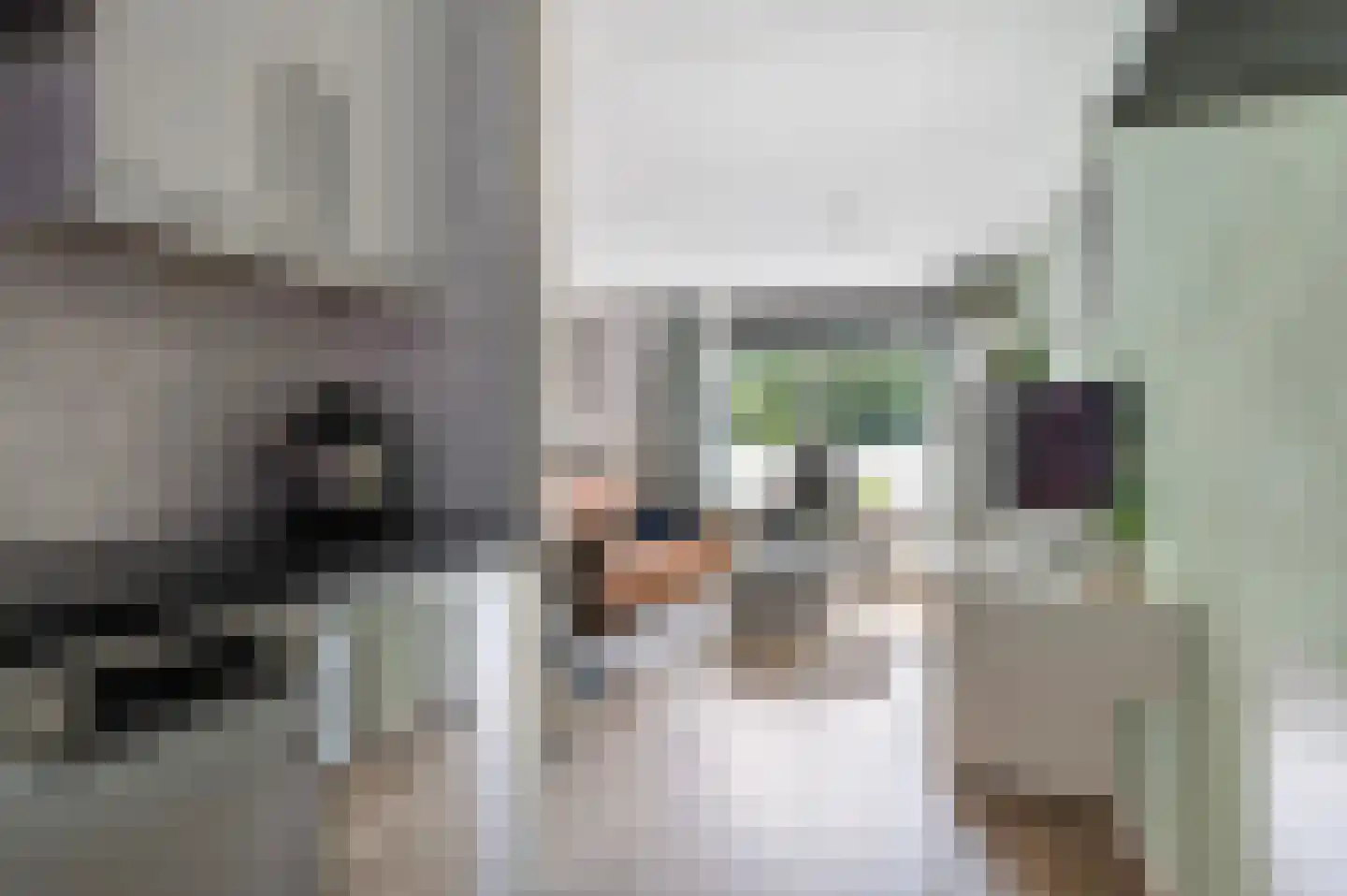 Rauwland 45 Delden thumbnail 8
