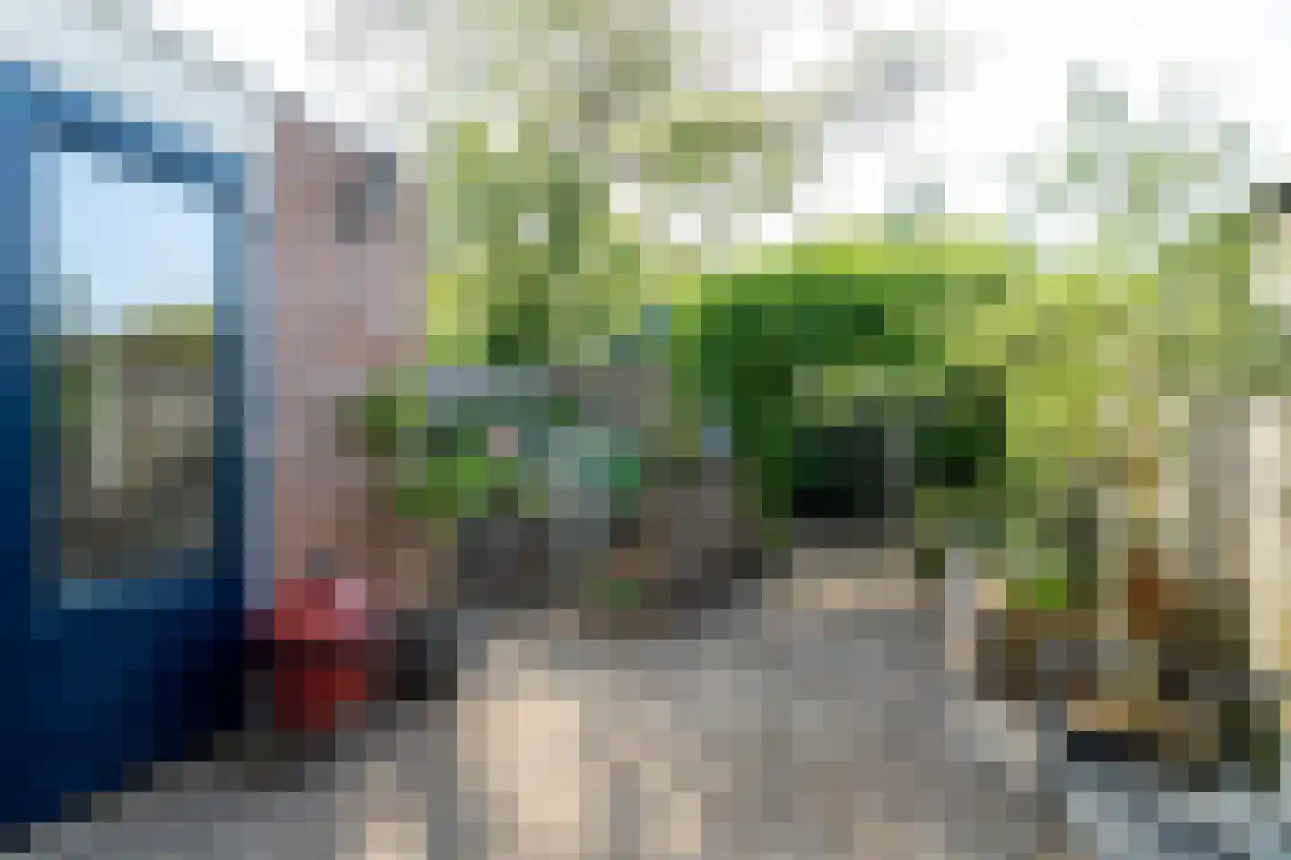 Rauwland 50 Delden thumbnail 34