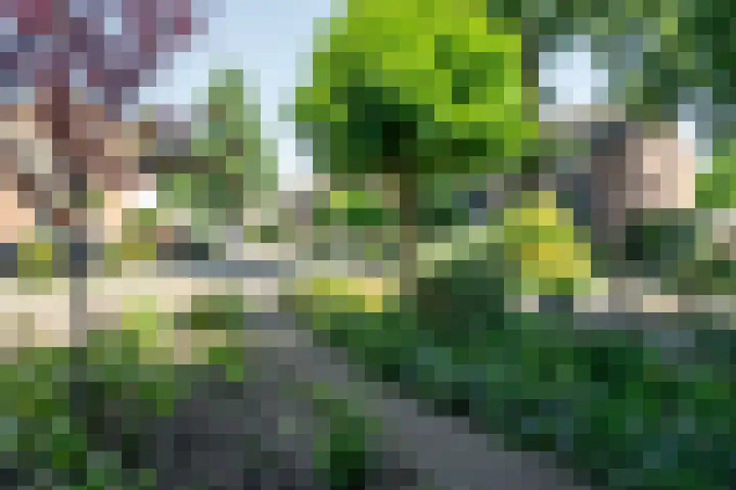 Rauwland 50 Delden thumbnail 35