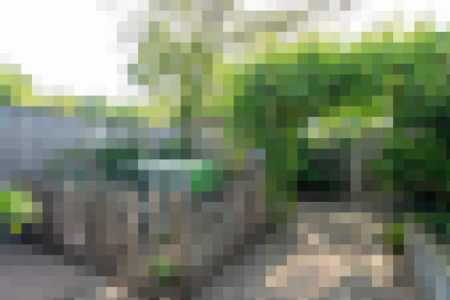 Rauwland 50 Delden thumbnail 36