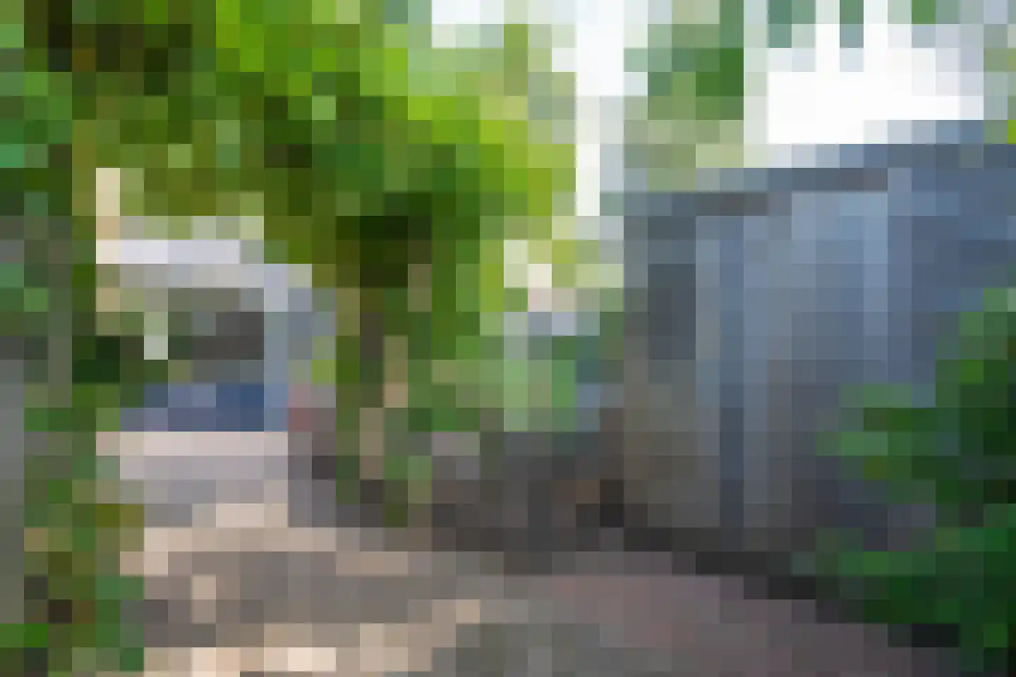 Rauwland 50 Delden thumbnail 37